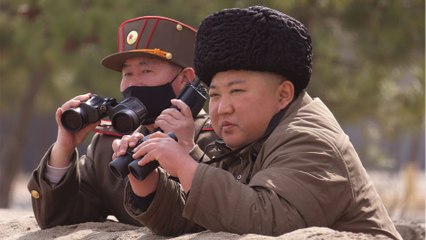 Spiralling crisis: rival Koreas exchange rocket fire into their buffer zone