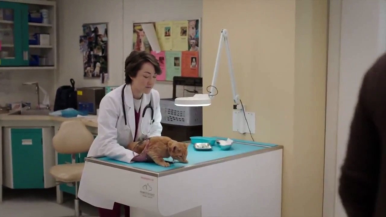 Strays - Se1 - Ep03 - New Neighbours HD Watch HD Deutsch