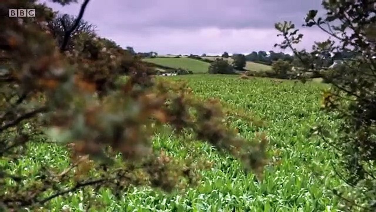 Survivors - Se1 - Ep02 - Genesis HD Watch HD Deutsch