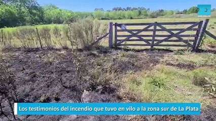 Los testimonios del incendio que tuvo en vilo a la zona sur de La Plata