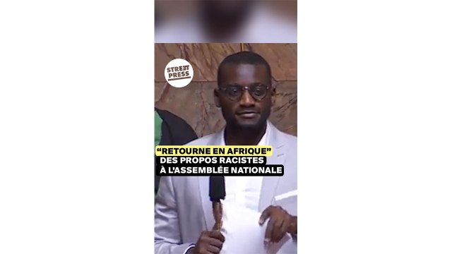 « Retourne en Afrique » : des propos racistes à l'Assemblée nationale
