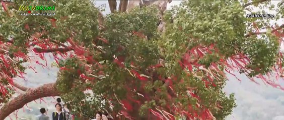 Light Chaser Rescue E28