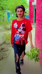 Entertainment video, funny jokes, funny entertainment video, comedy jokes video, funny comedy video clip 2022, video by entertainment,