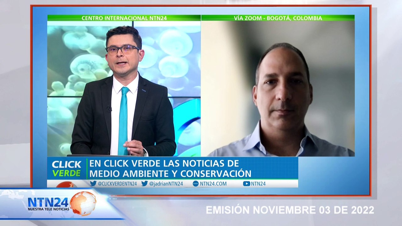 Glaciares pierden la batalla ante el cambio climático