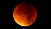 Total lunar eclipse to grace the pre-dawn skies on Nov. 8