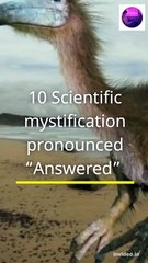 10 Mystification Answered By Scientific  | science mysteries solved