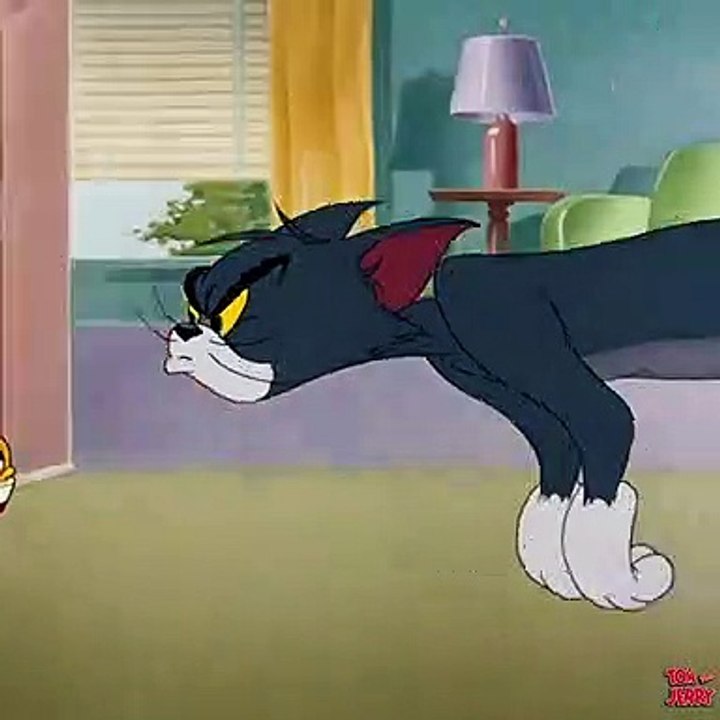 Tom and Jerry Funny