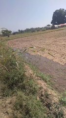 VID-20221023-WA0003