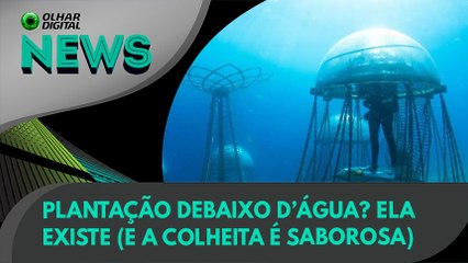 Ao Vivo | Plantação debaixo d’água? Ela existe (e a colheita é saborosa) | 03/11/2022 | #OlharDigital
