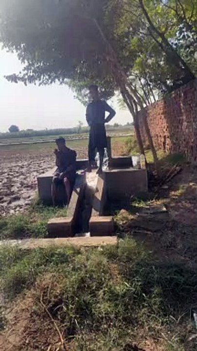 VID-20221024-WA0006
