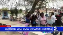 Piura: Enjambre de abejas atacan a visitantes de cementerio y dejan 4 heridos