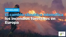 El cambio climático intensifica los incendios forestales en Europa