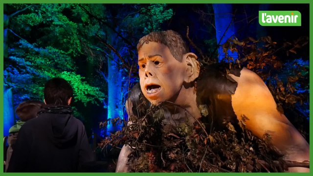 Harry Potter : l'expérience de la forêt interdite