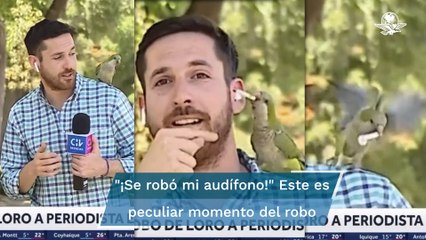 Loro roba a un periodista en plena transmisión en vivo
