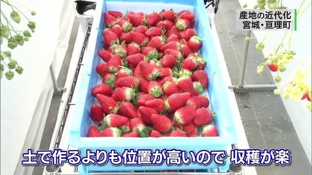 TVシンポジウム「被災地にみる農業の可能性〜東日本大震災から10年〜」 0210 202102271400