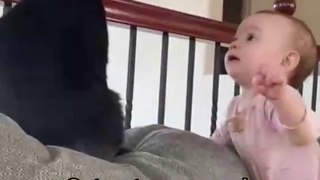 Cats and babies are best friends You know what I mean - Funniest Cats