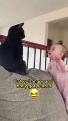 Cats and babies are best friends You know what I mean - Funniest Cats
