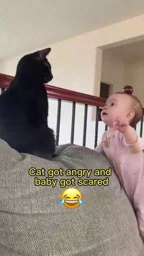 Cats and babies are best friends You know what I mean - Funniest Cats