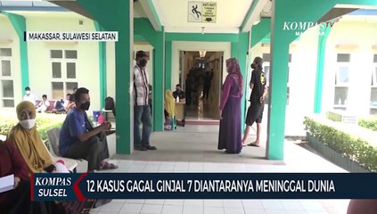 12 Kasus Gagal Ginjal 7 Diantaranya Meninggal Dunia