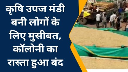 रायसेन: धान की बंपर आवक टूटे सारे रिकॉर्ड,देखें कृषि से जुड़ी अहम खबर..