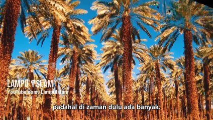 DI PULAU INILAH DAJJAL DIKURUNG