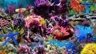 SO BEAUTIFUL!!! 10 amazing places under the sea around the world