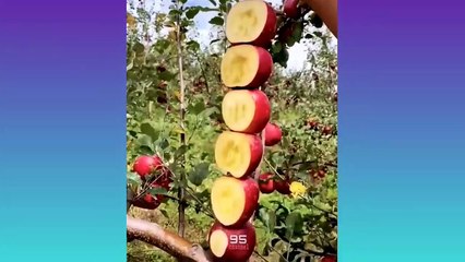 Satisfying Video __ Best oddly satisfying and relaxing video for stress relief