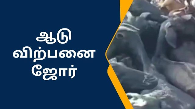 கம்பைநல்லூர் வார சந்தையில் ஆடு விற்பனை ஜோர்