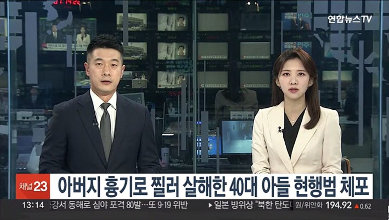 아버지 흉기로 찔러 살해한 40대 아들 현행범 체포