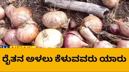 ಬಾಗಲಕೋಟೆ: ಬಿತ್ತನೆಯ ಖರ್ಚು ಬಾರದ ಪರಿಸ್ಥಿತಿಯಲ್ಲಿ ಈರುಳ್ಳಿ ಬೆಳೆದ ರೈತ
