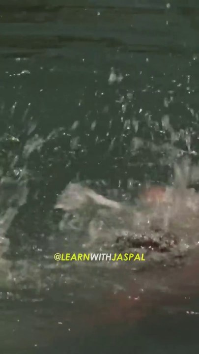 The easiest way to teach swimming!