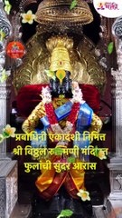 प्रबोधिनी एकादशी निमित्त श्री विठ्ठल रुक्मिणी मंदिरात  फुलांची सुंदर आरास shorts NEW