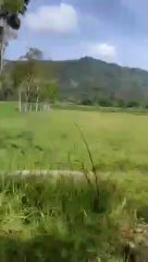 the beauty of the journey of the village of kulonprogo, jogjakarta, indonesia