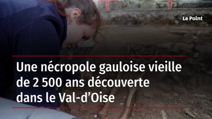 Une nécropole gauloise vieille de 2 500 ans découverte dans le Val-d’Oise