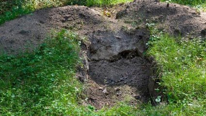 Boşandığı kocası tarafından diri diri gömülen kadın mezardan çıkmayı başardı