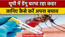 Uttar Pradesh के कई जिलों में कहर बरपा रहे Dengue को लेकर घबराएं नहीं ऐसे करें बचाव | वनइंडिया हिंदी