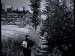 Aubusson Tapestry and Jean Lurcat