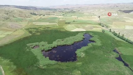 Mahkeme kararını verdi, Kaz Gölü kurtuldu