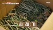 [HOT] Delicious dried radish greens for 365 days,생방송 오늘 저녁 221104