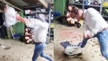Birthday boy COMPLETELY DESTROYS piñata and ends up finding his favorite game in it