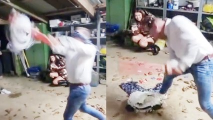 Birthday boy COMPLETELY DESTROYS piñata and ends up finding his favorite game in it
