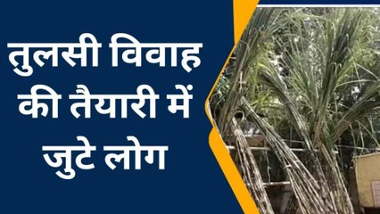 बालाघाट : तुलसी विवाह की तैयारी में जुटे लोग,निकलेगी बारात