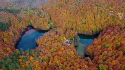 Yedigöller'de sonbahar