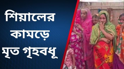 জলঙ্গি: শিয়ালের কামড়, অবশেষে মারা গেলেন ডলি