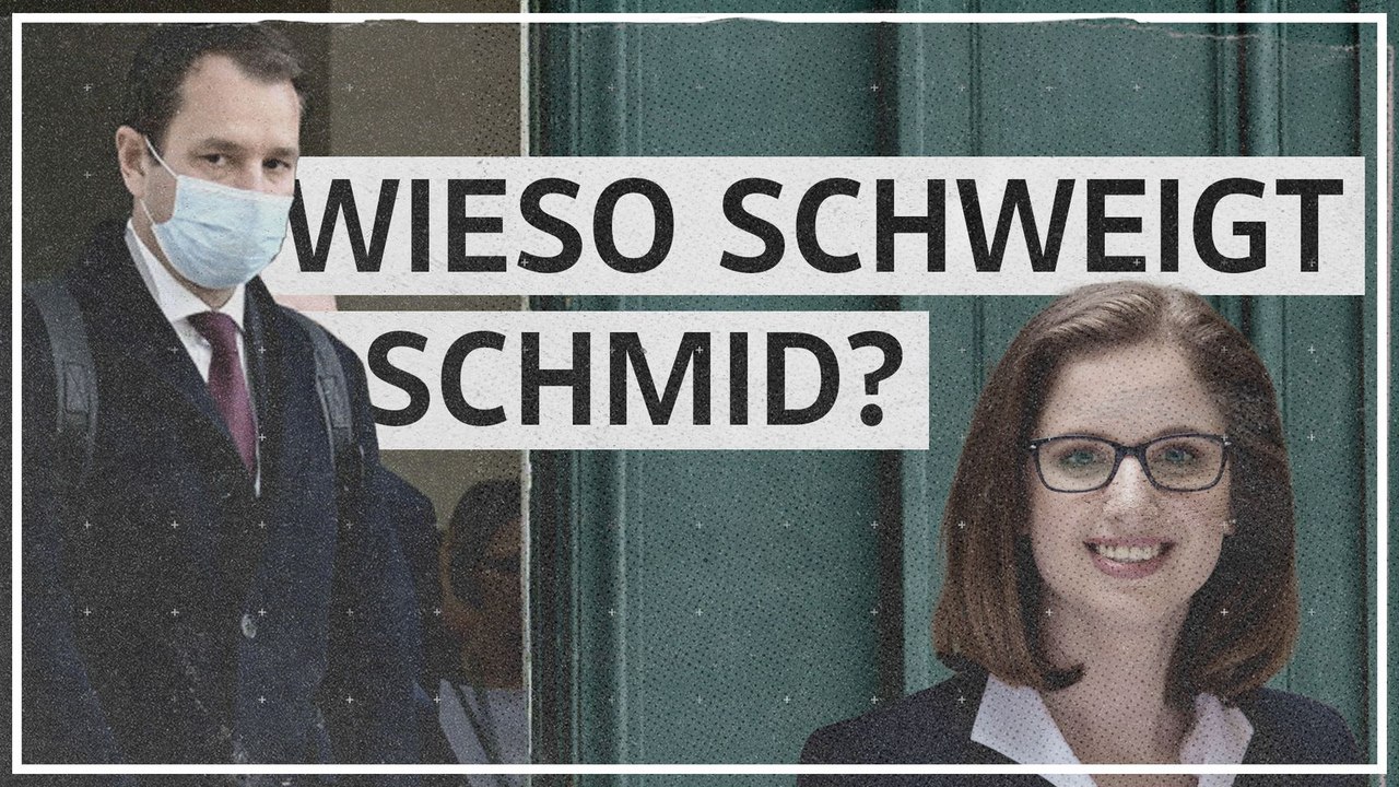 Schmids Schweigen: 'Politische Skandale gefährden nicht zwangsläufig Demokratiezufriedenheit'