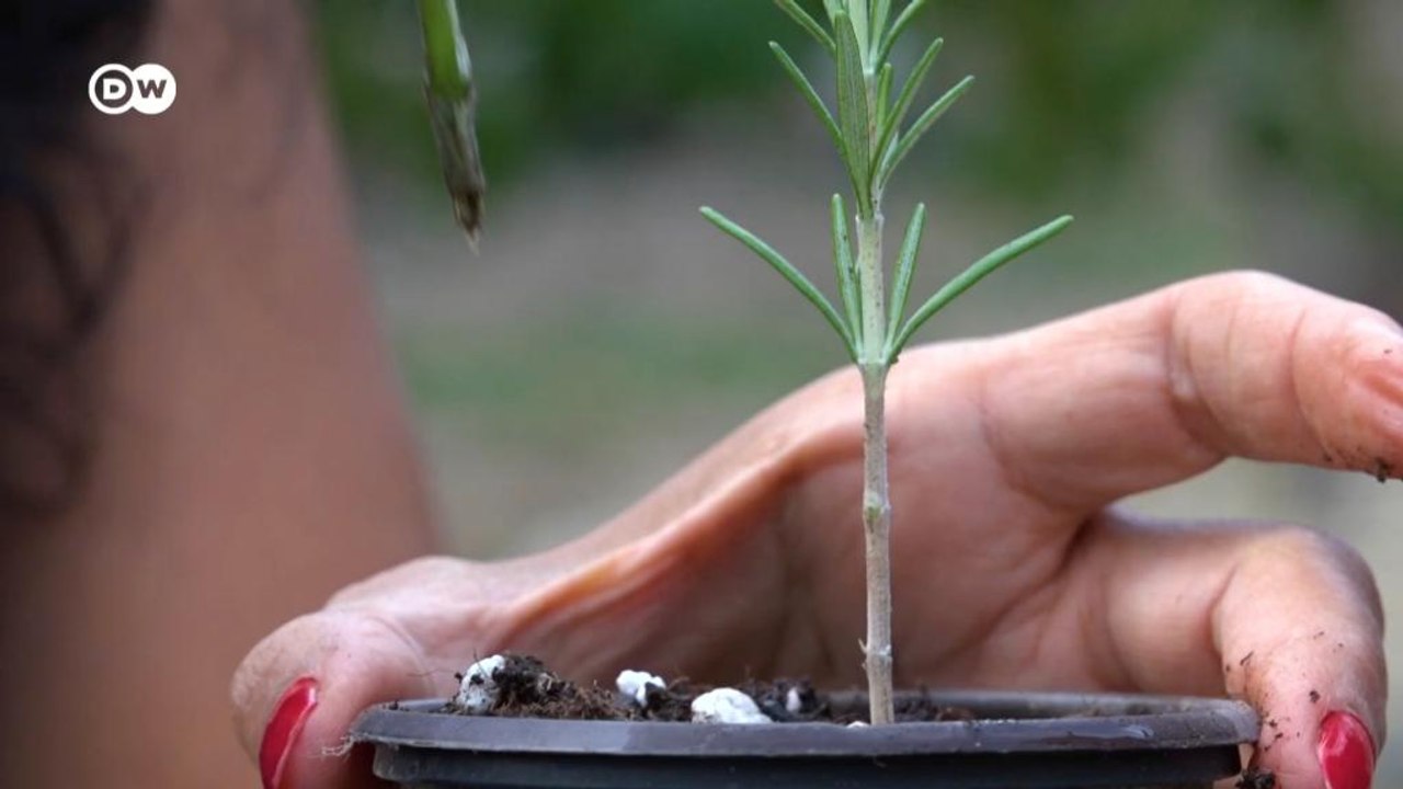 Hoffnung durch Gärtnern: Asylsuchende auf Lesbos