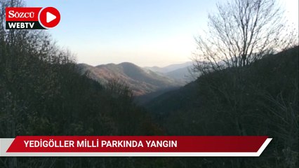Yedigöller Milli Parkı'nda çıkan orman yangınına müdahale ediliyor
