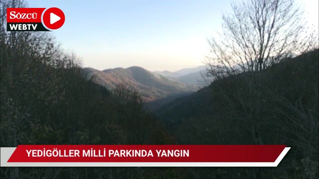 Yedigöller Milli Parkı'nda çıkan orman yangınına müdahale ediliyor