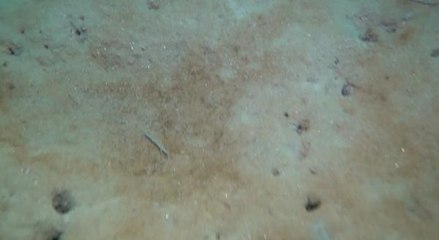 MARMARA DENİZİ'NİN DİBİNİ 1 YIL ARAYLA GÖZLEMLEDİ