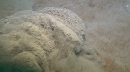 Prof. Dr. Mustafa Sarı: Çamur, müsilaj oluşma ihtimali artırıyor